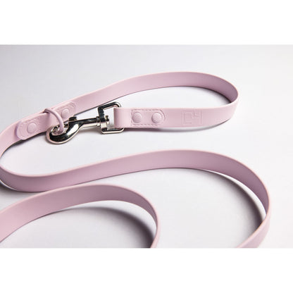 Furever 6' Leash by C4