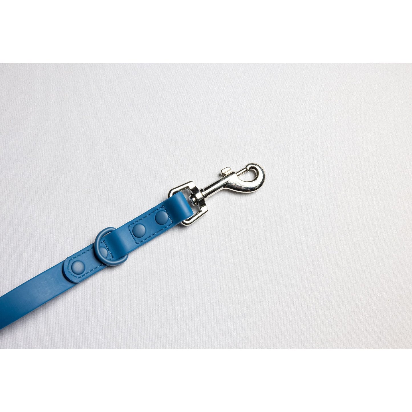Furever 6' Leash by C4