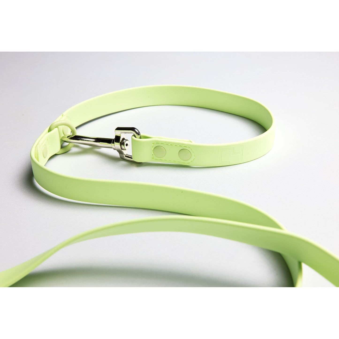 Furever 6' Leash by C4
