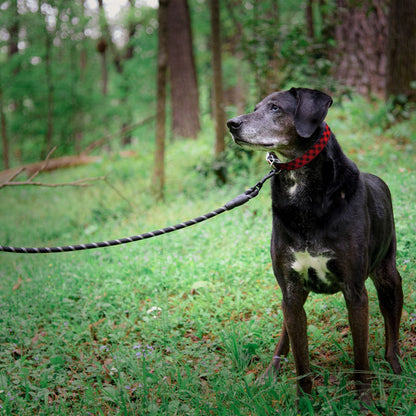 C4 Reflective Sports 6' Leash