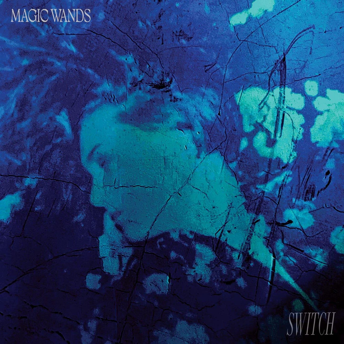 Magic Wands - Switch [LP] Vinyl Record