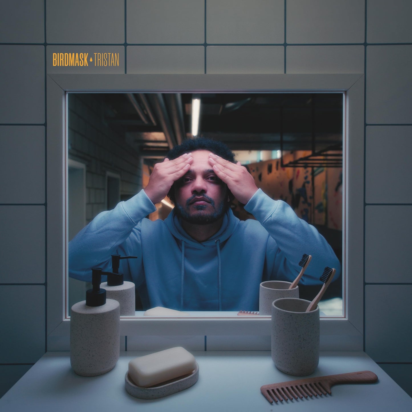 Birdmask - Tristan [LP] Vinyl Record