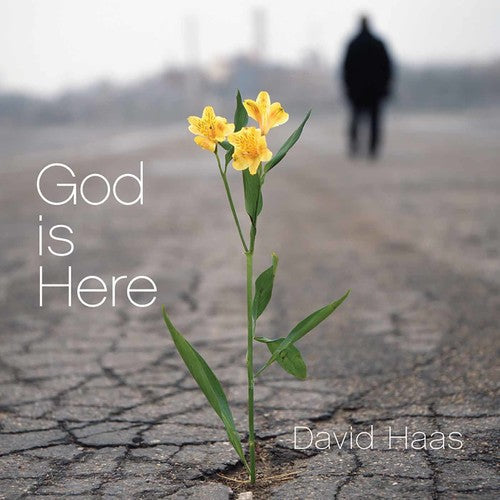 David Haas - God Is Here [CD]
