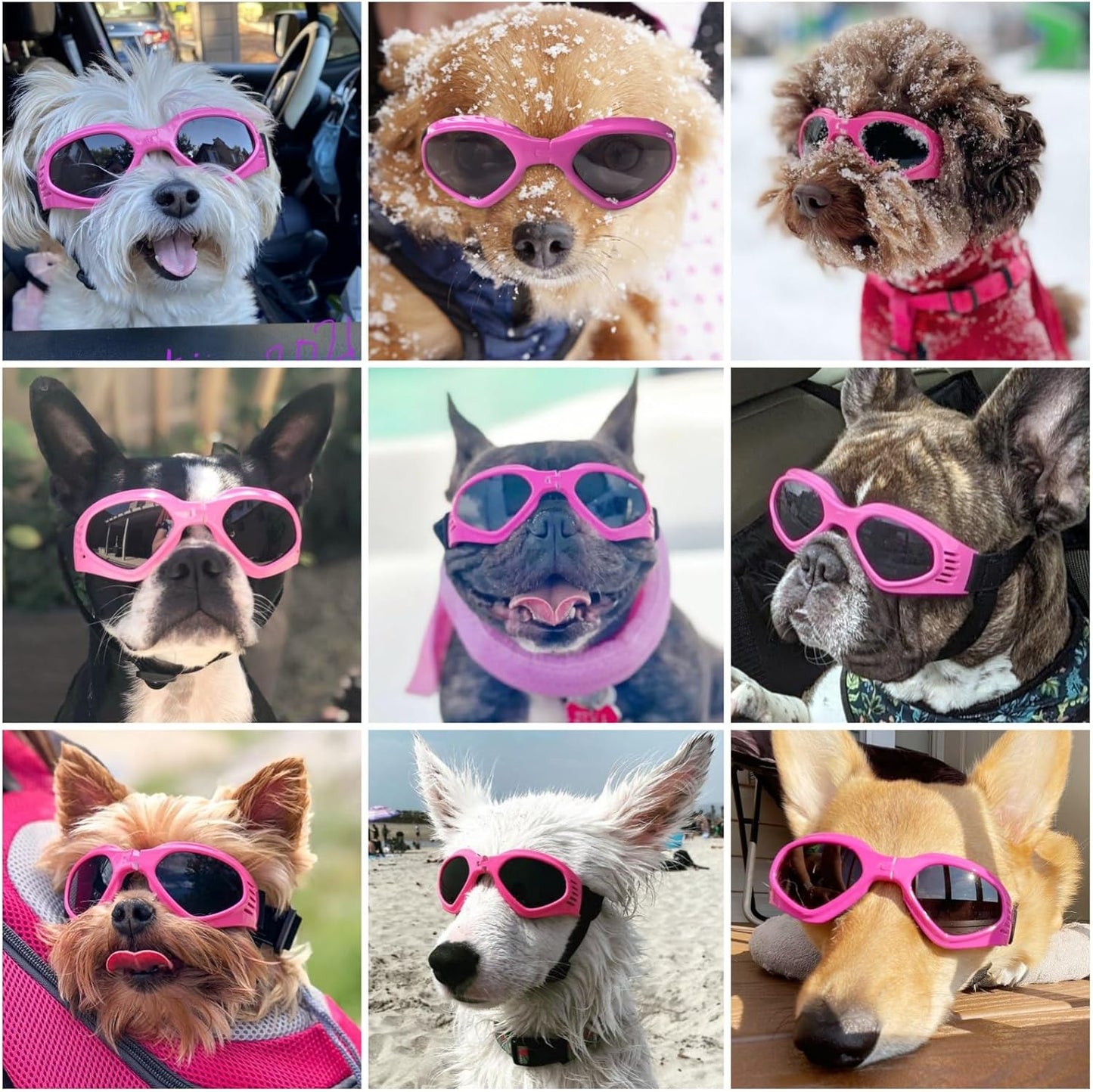 Dog goggles sunglasses cool accessories