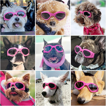 Dog goggles sunglasses cool accessories
