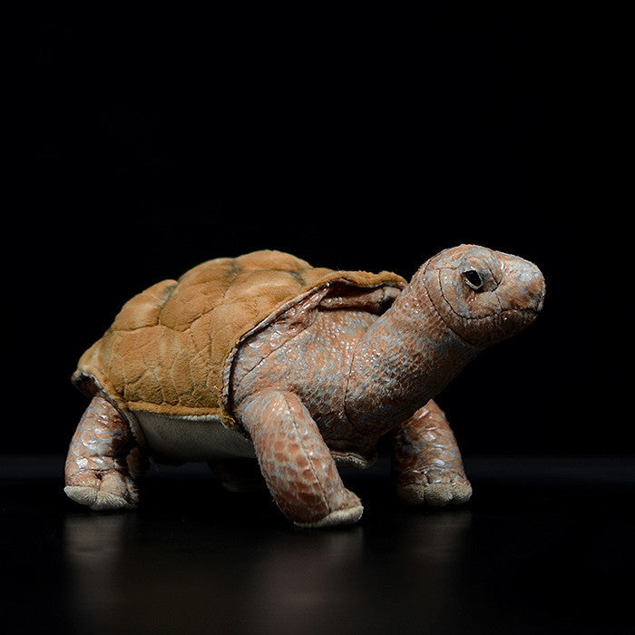 Galápagos Giant Tortoise (Chelonoidis niger) Plush