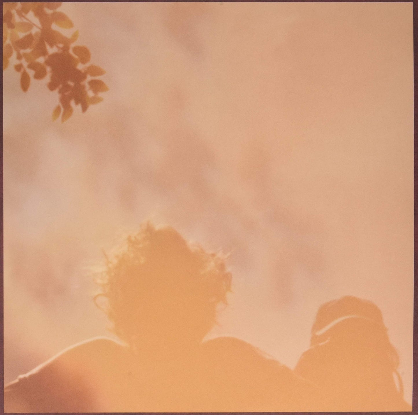 Iceberg Ferg - Let It Grow [LP] Vinyl Record