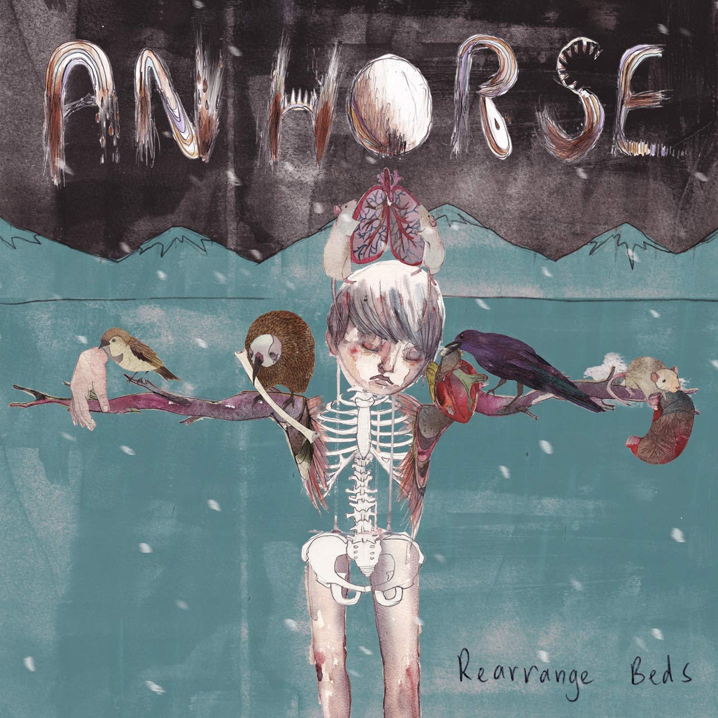 An Horse - Rearrange Beds [LP] Vinyl Record
