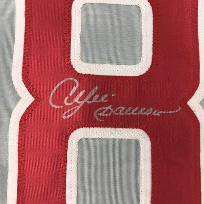 Autographed/Signed Andre Dawson Chicago Grey Baseball Jersey JSA COA