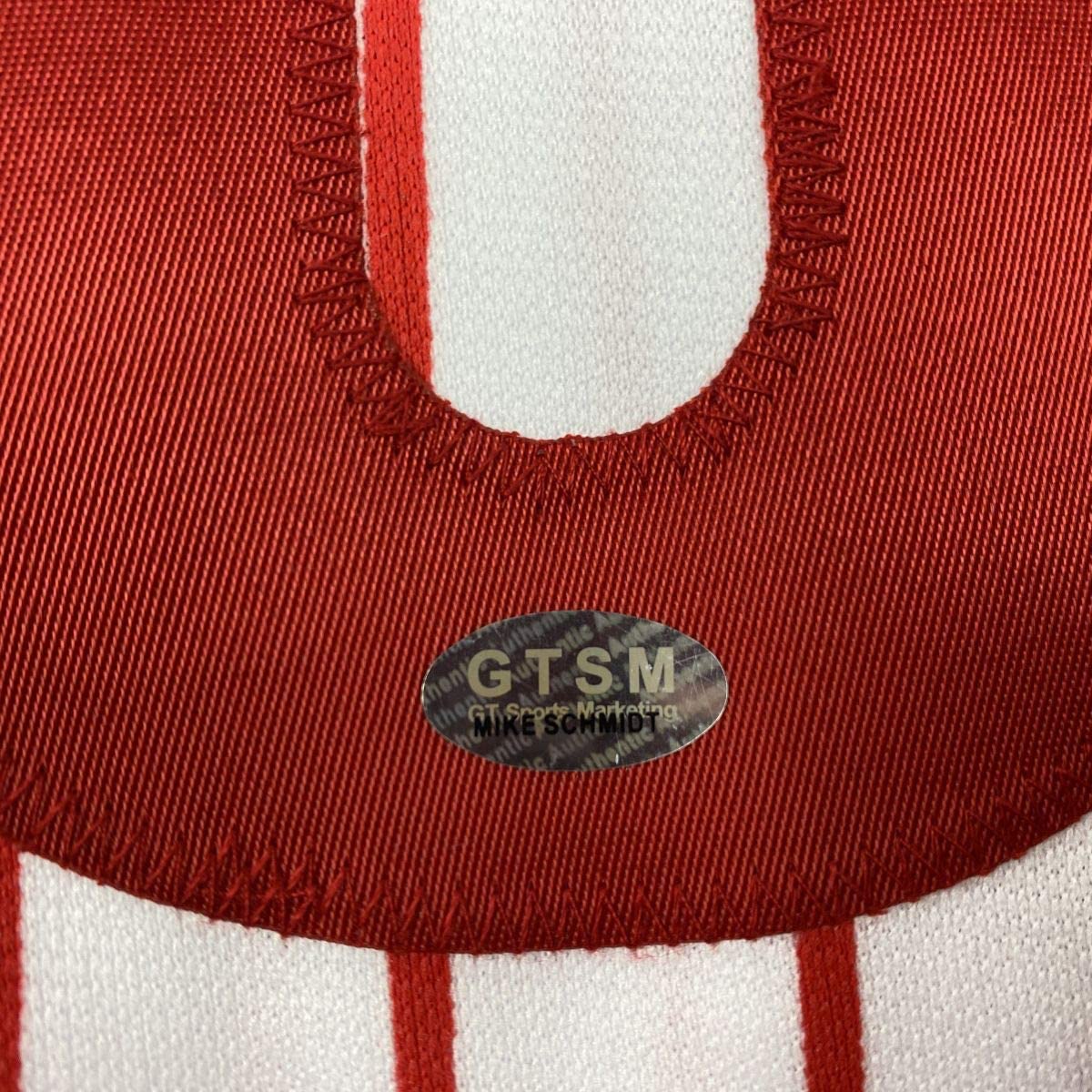 Autographed/Signed Mike Schmidt Philadelphia Pinstripe Baseball Jersey GTSM COA Hologram Only