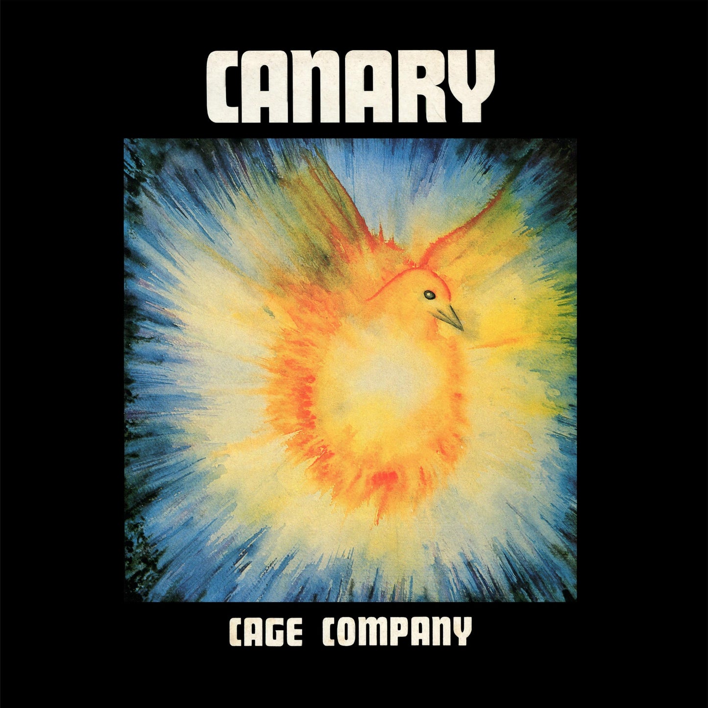 Canary - Cage Company (Uk) [LP] Vinyl Record