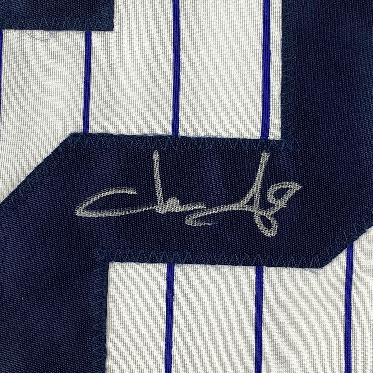 Framed Autographed/Signed Jason Giambi 35x39 New York Pinstripe Baseball Jersey PSA/DNA COA