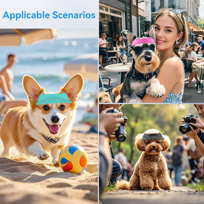 Dog goggle+sunhat sets 3 color