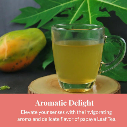 Akshit 75 Papaya Leaf Tea Bags – Caffeine-Free Herbal Support for Immunity & Digestion
