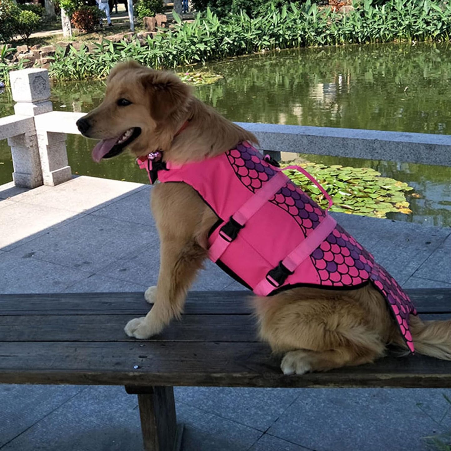 Dog life jacket pet swiming wear