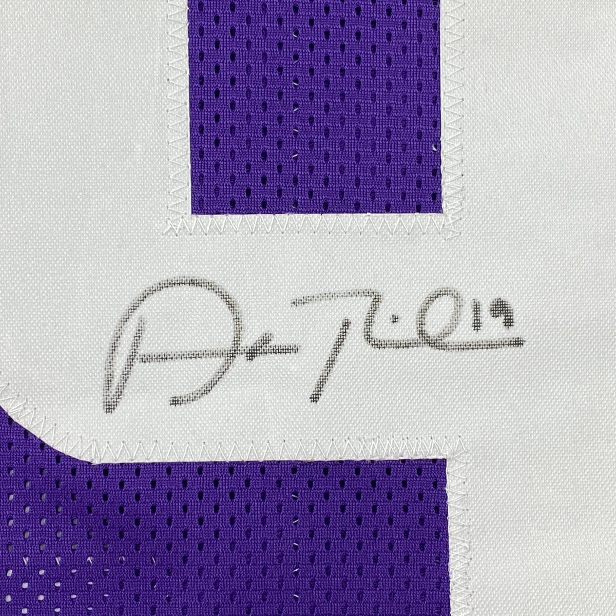 Autographed/Signed Adam Thielen Minnesota Purple Football Jersey JSA COA