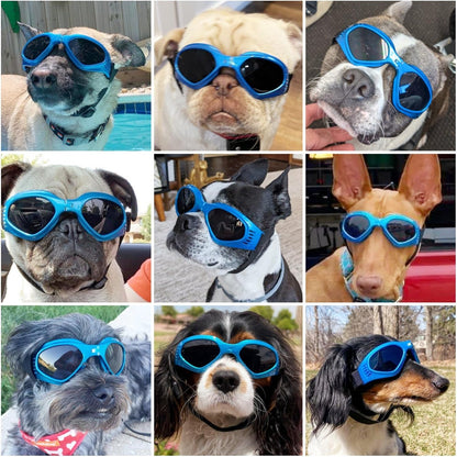 Dog goggles sunglasses cool accessories