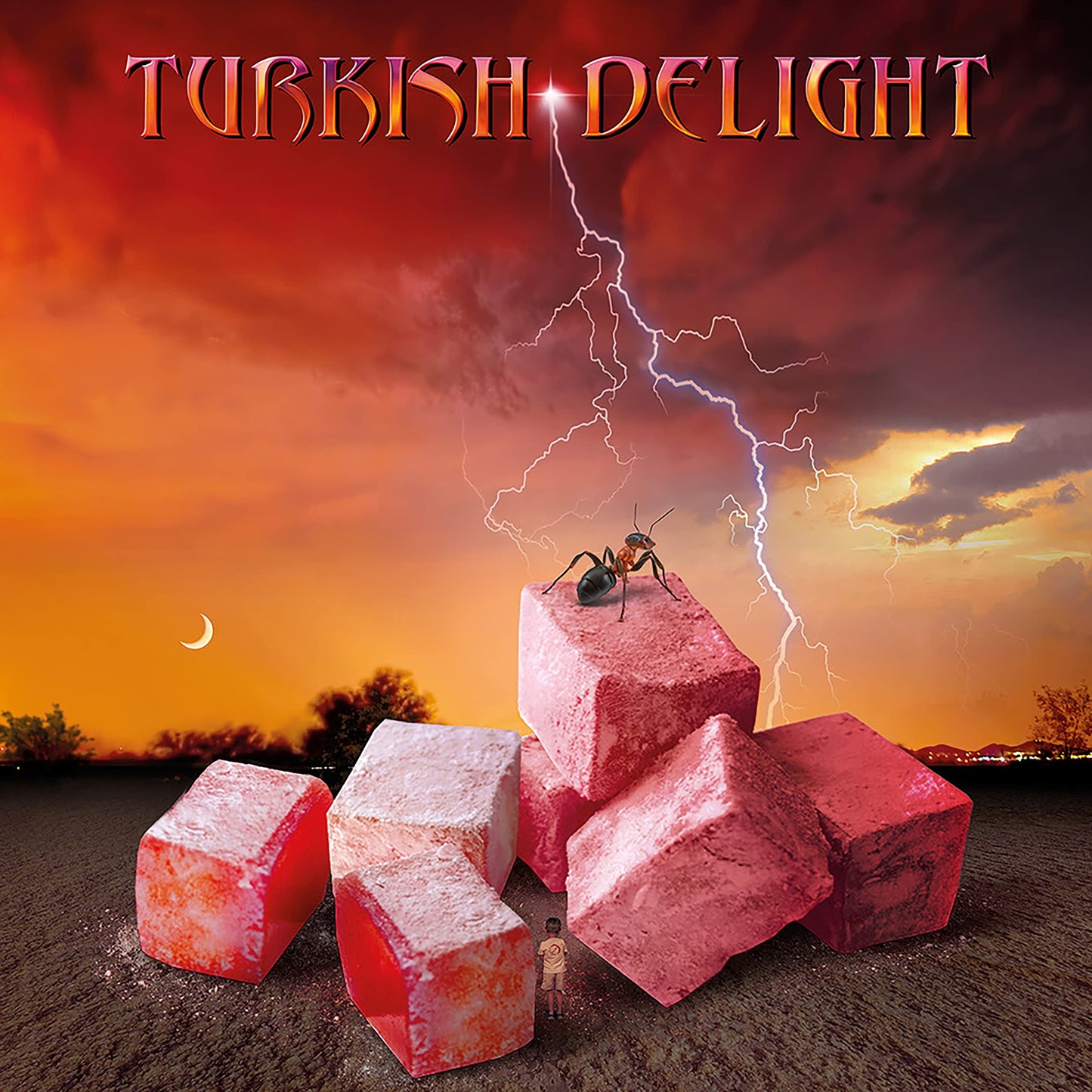 Turkish Delight - Volume One [LP] Vinyl Record