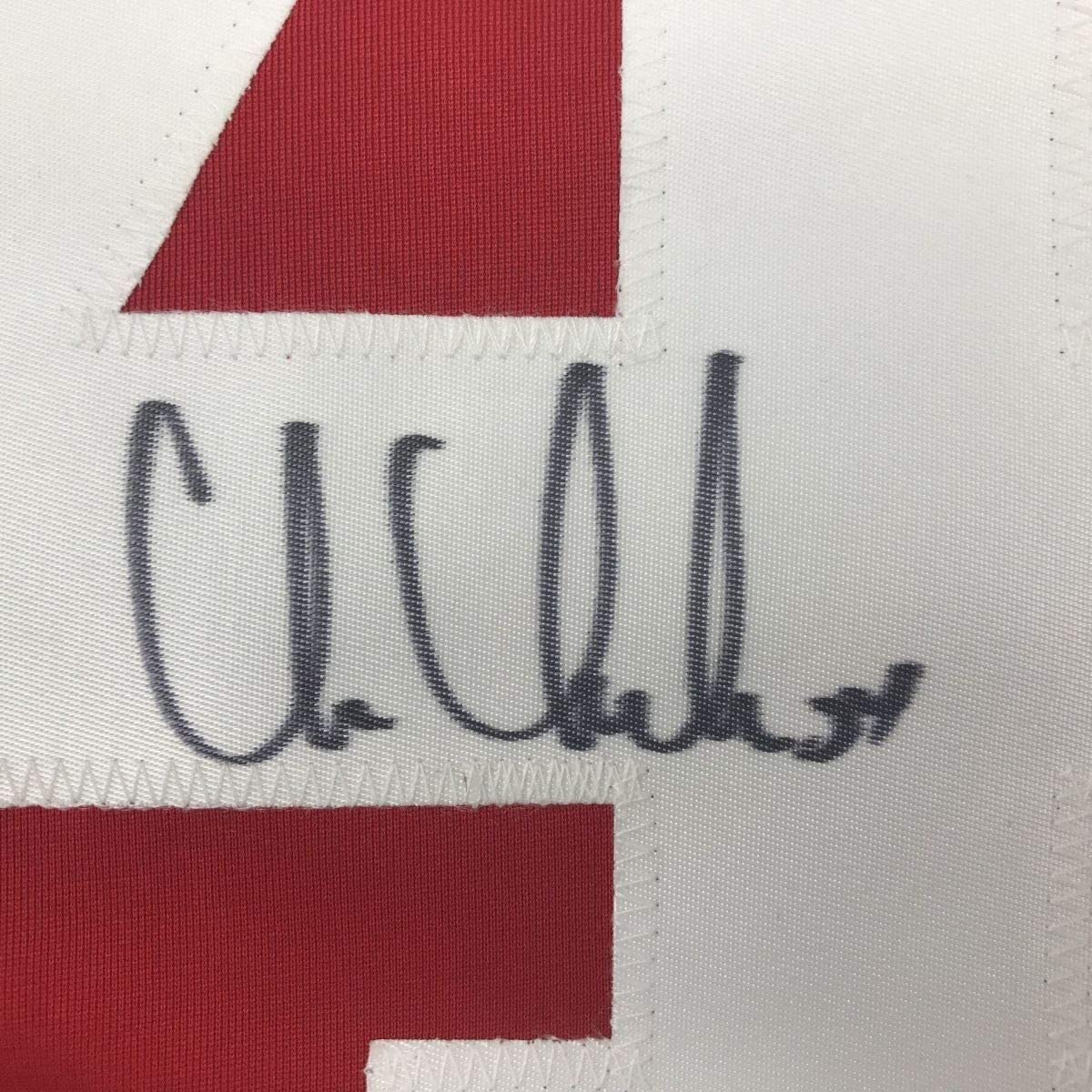 Framed Autographed/Signed Chris Chelios 35x39 Detroit Red Hockey Jersey JSA COA