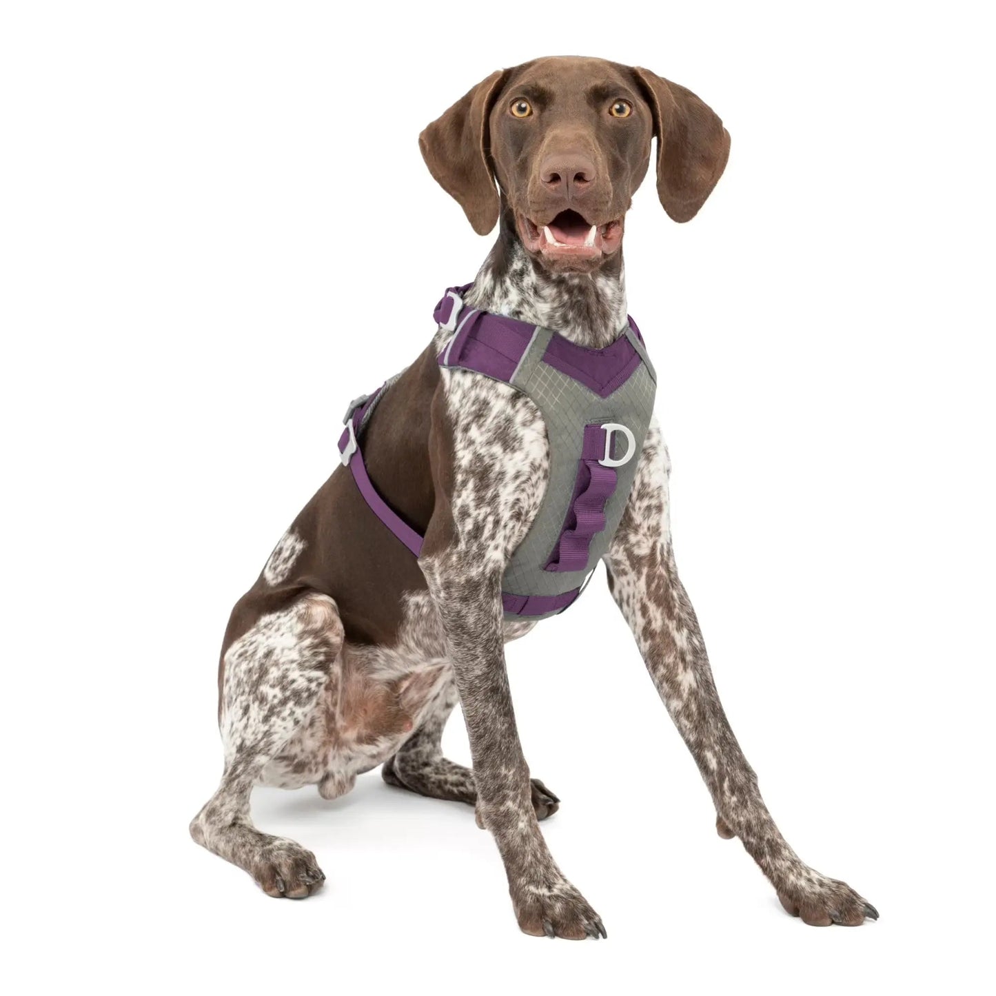 Journey Air Dog Harness, Reflective, Includes Control Handle, No Pull Front Clip - Purple, S