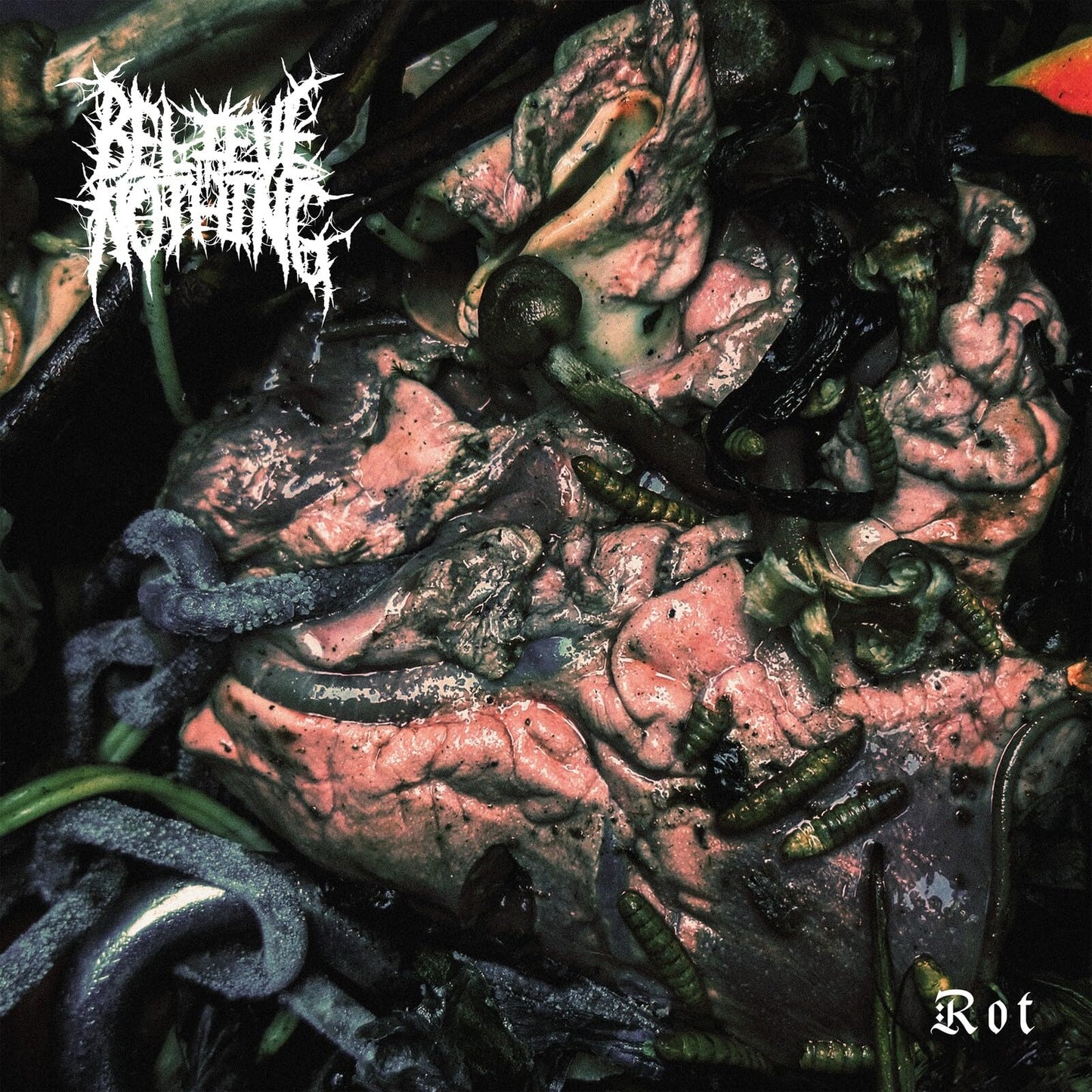 Believe in Nothing - Rot (Uk) [LP] Vinyl Record