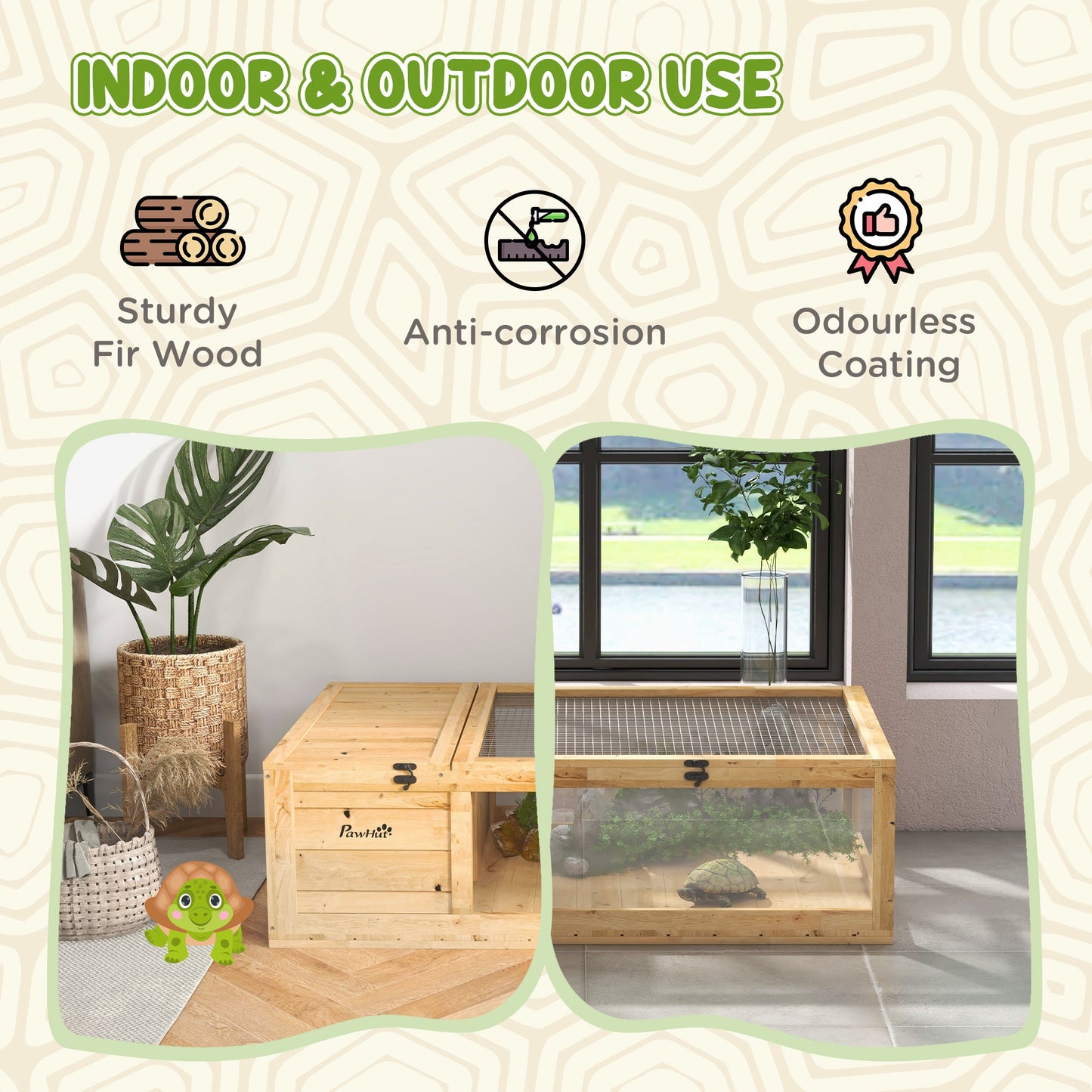 Tortoise House & Habitat