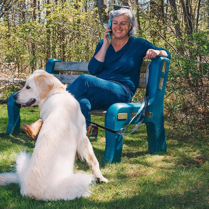 6 in 1 Hands Free Dog Leash | Reflective Running Belt Leash for Dogs | Crossbody & Waist Belt Leash | Carabiner Clip | Padded Handle for Training, Hiking or Jogging | Quantum Leash | 6 Colors