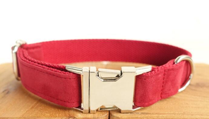 Luxury Dog Traction Collar