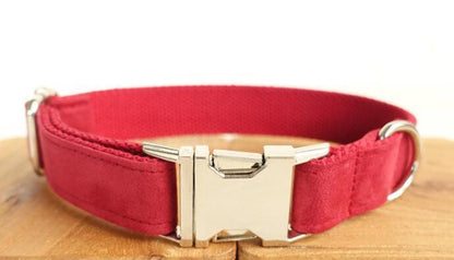 Luxury Dog Traction Collar