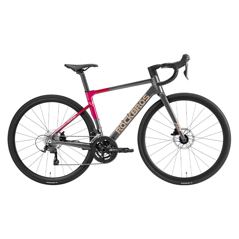 Gale - Aluminum Road Bike