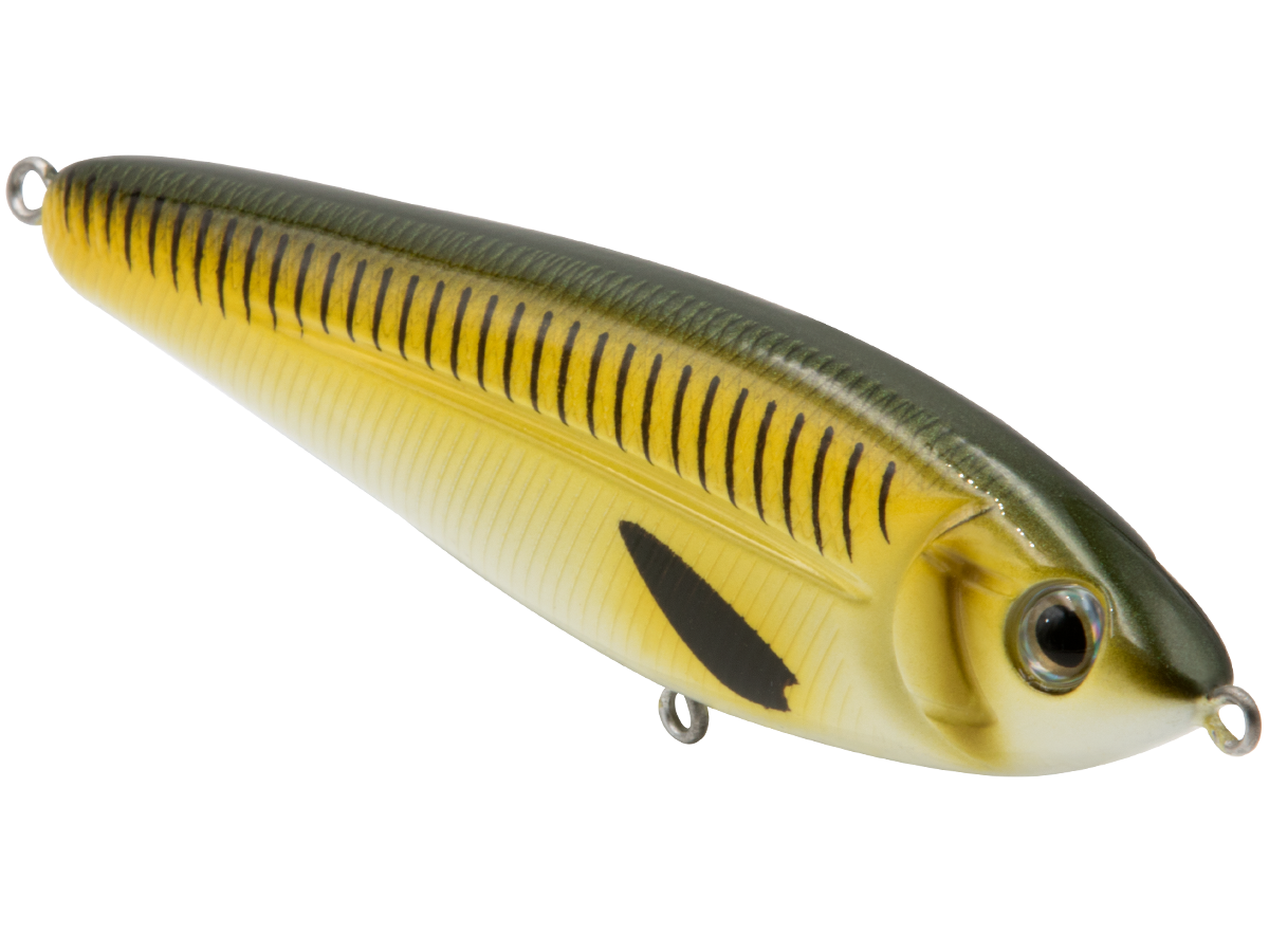 School Master Salt Water