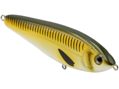 School Master Salt Water