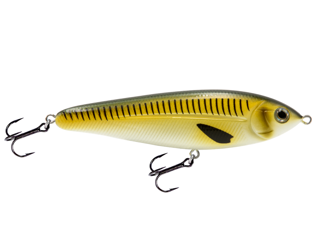 School Master Salt Water