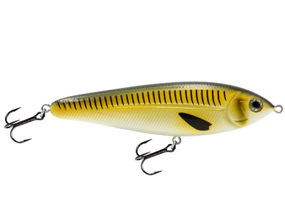 School Master Salt Water