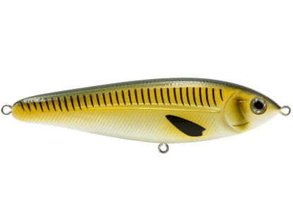 School Master Salt Water