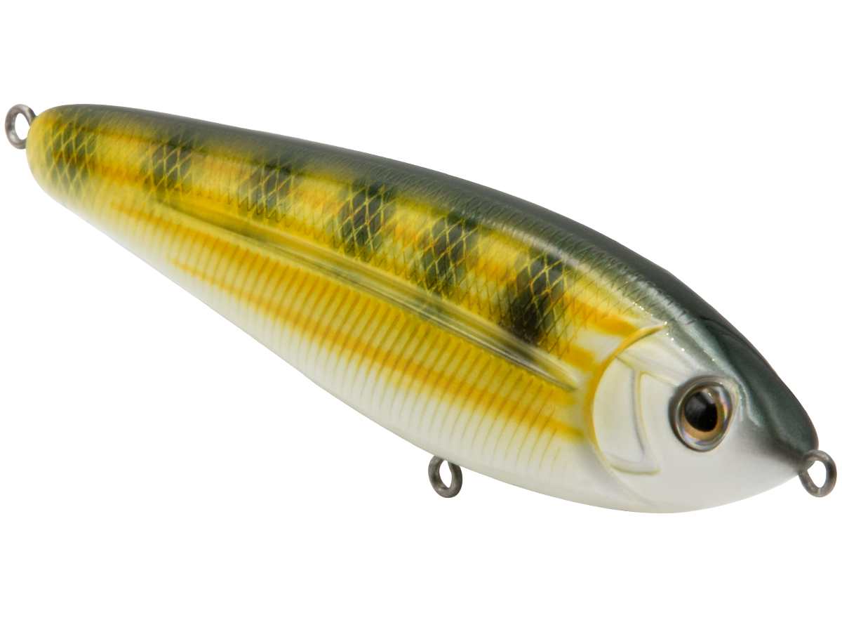 School Master Salt Water