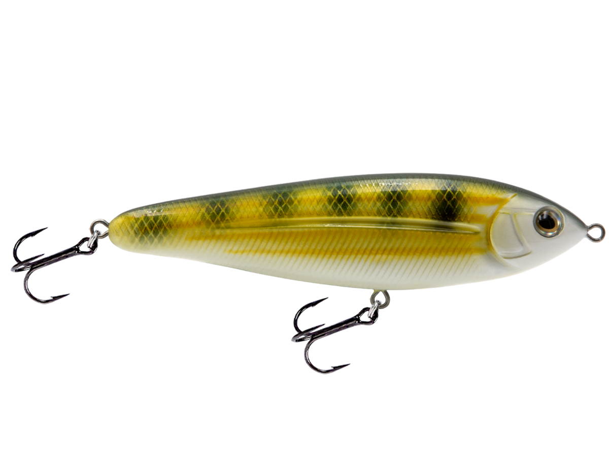 School Master Salt Water