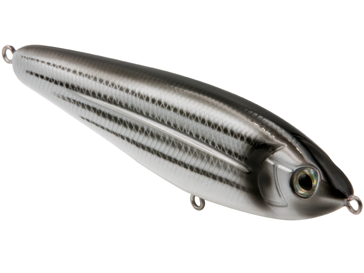 School Master Salt Water