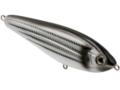 School Master Salt Water