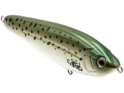 School Master Salt Water