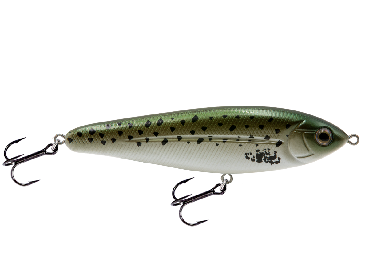 School Master Salt Water