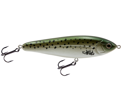 School Master Salt Water