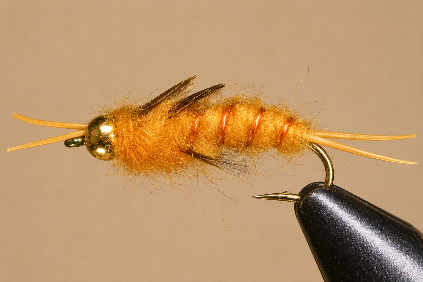 Giant Kaufmann Stonefly Nymphs