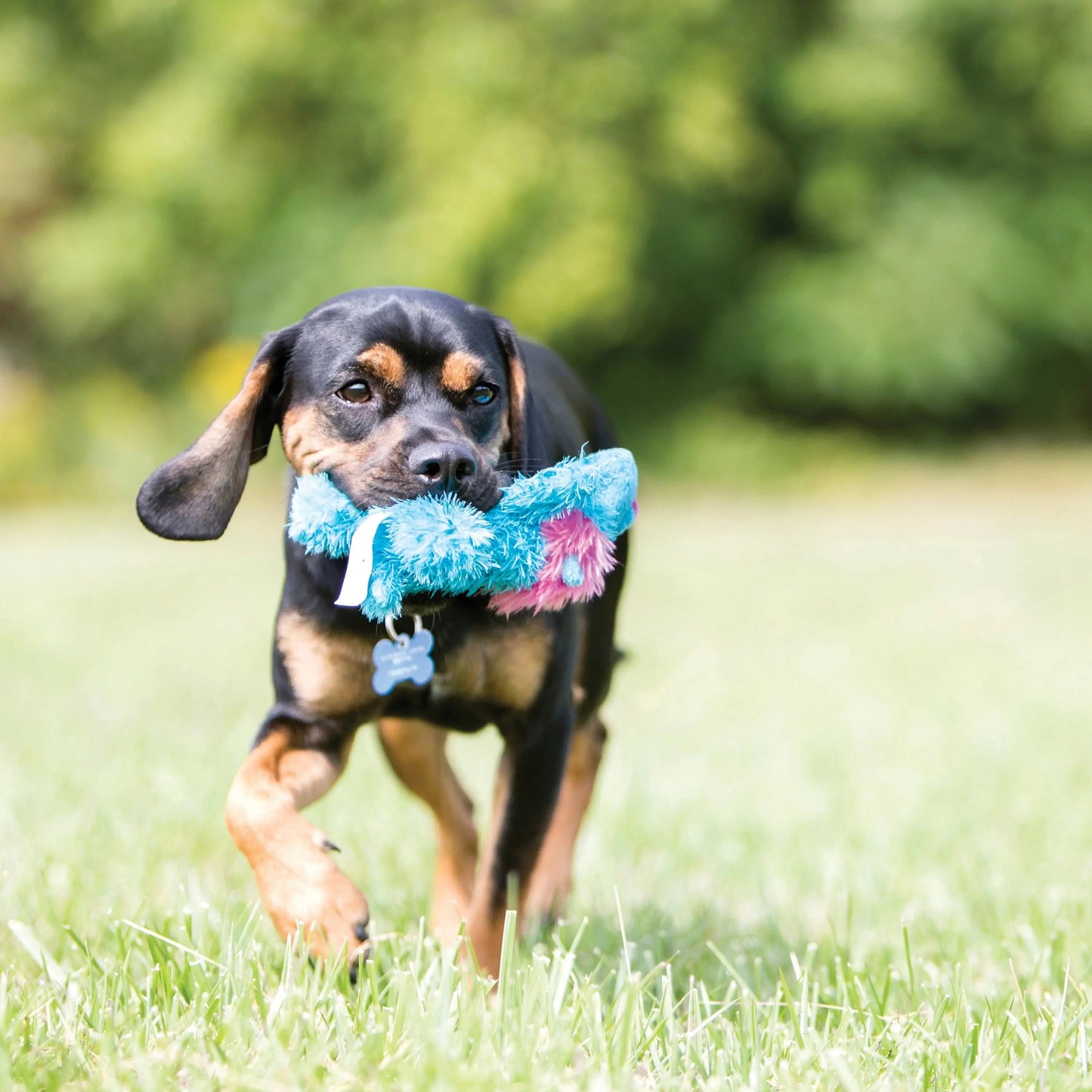 ® Cozie™ Marvin the Moose Dog Toy, Small