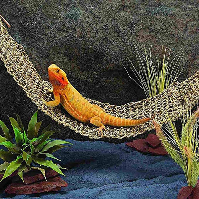 Natural Seagrass Reptile Hammock Loungers