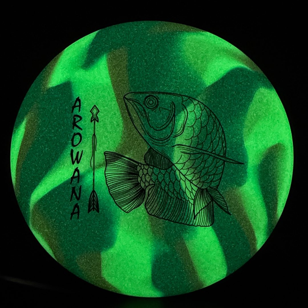 glO-G Arowana