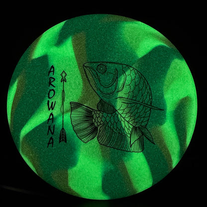 glO-G Arowana