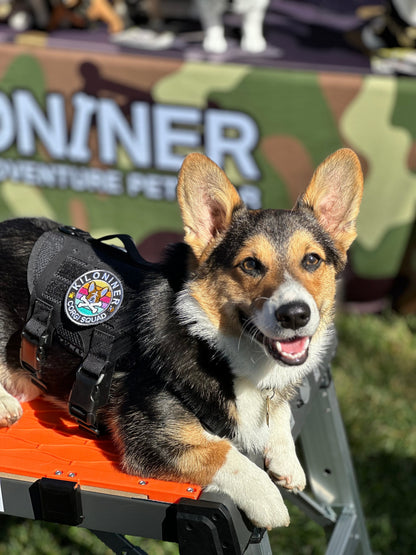 Kiloniner Corgi Squad Morale Patch