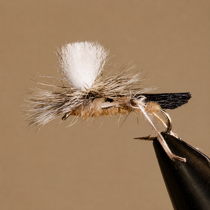 Hopper – Parachute