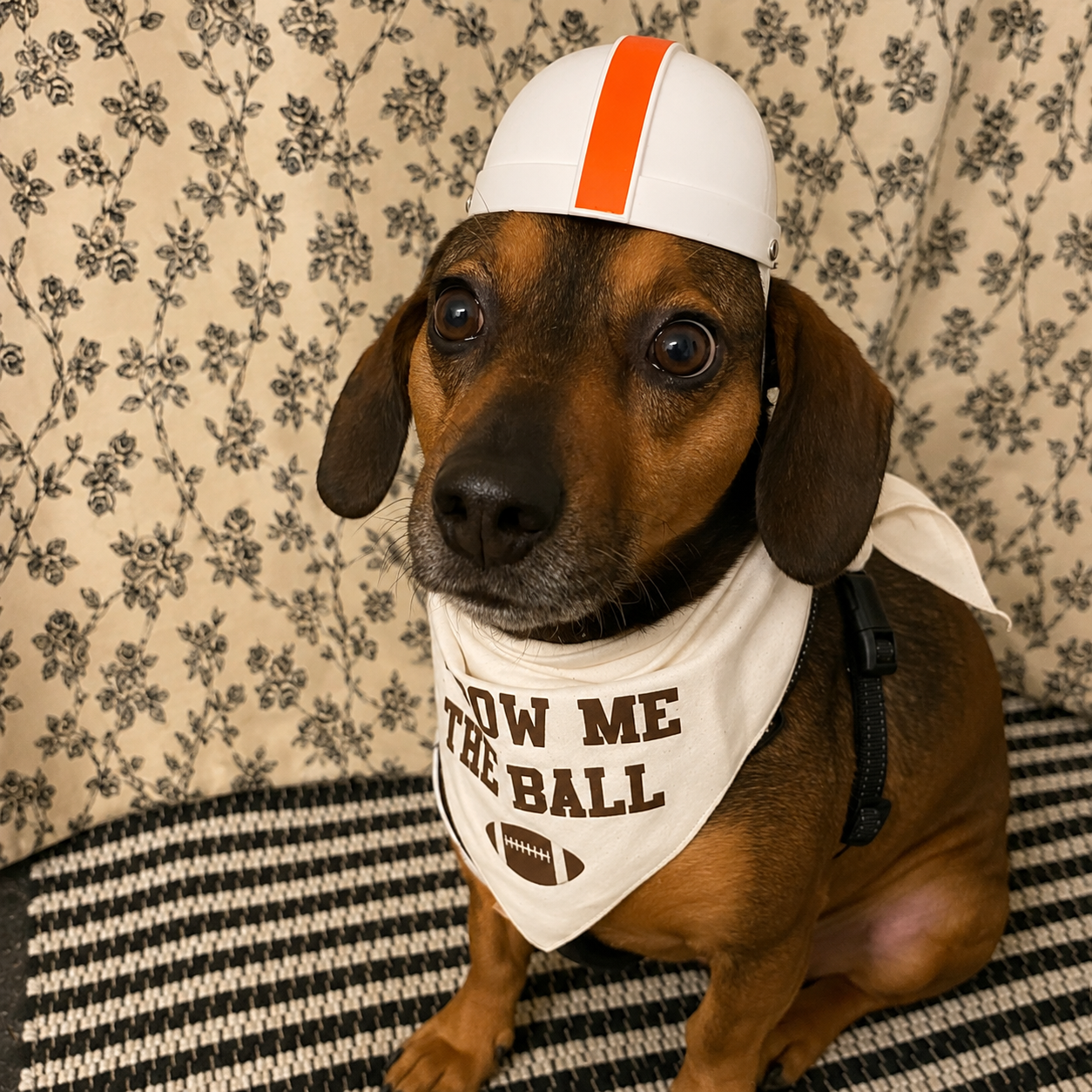 Black or White Pet Bike Helmet